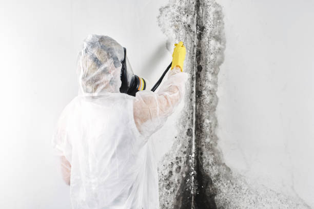 24/7 water damage repair in Holly Hill, SC