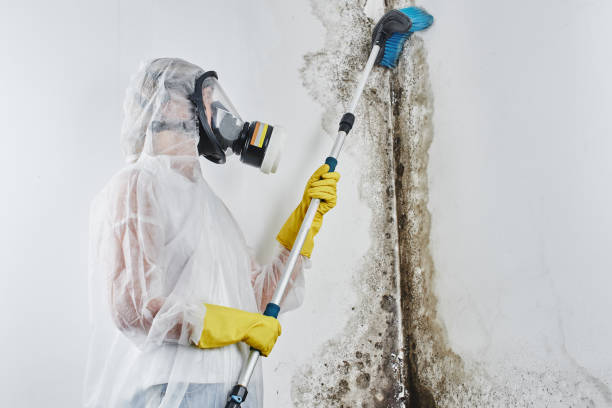 Professional Water damage restoration in Holly Hill, SC